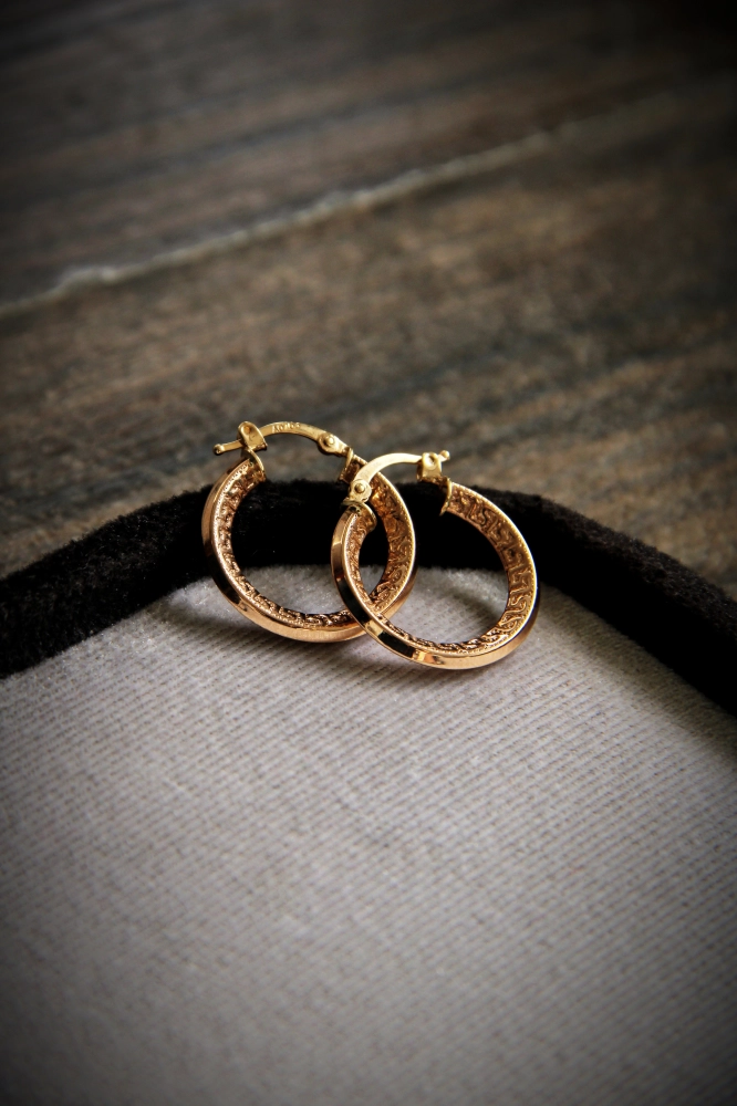 گوشواره حلقه ای امگا