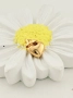 پلاک قلب سه بعدی